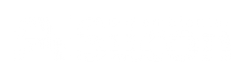 home made silcon dildo
